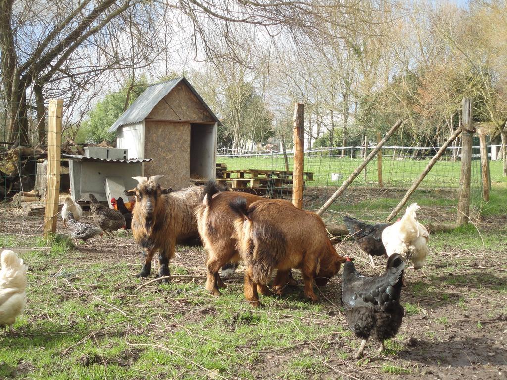 Les 2 Madeleine Bed & Breakfast Saint-Saturnin-du-Bois Екстериор снимка