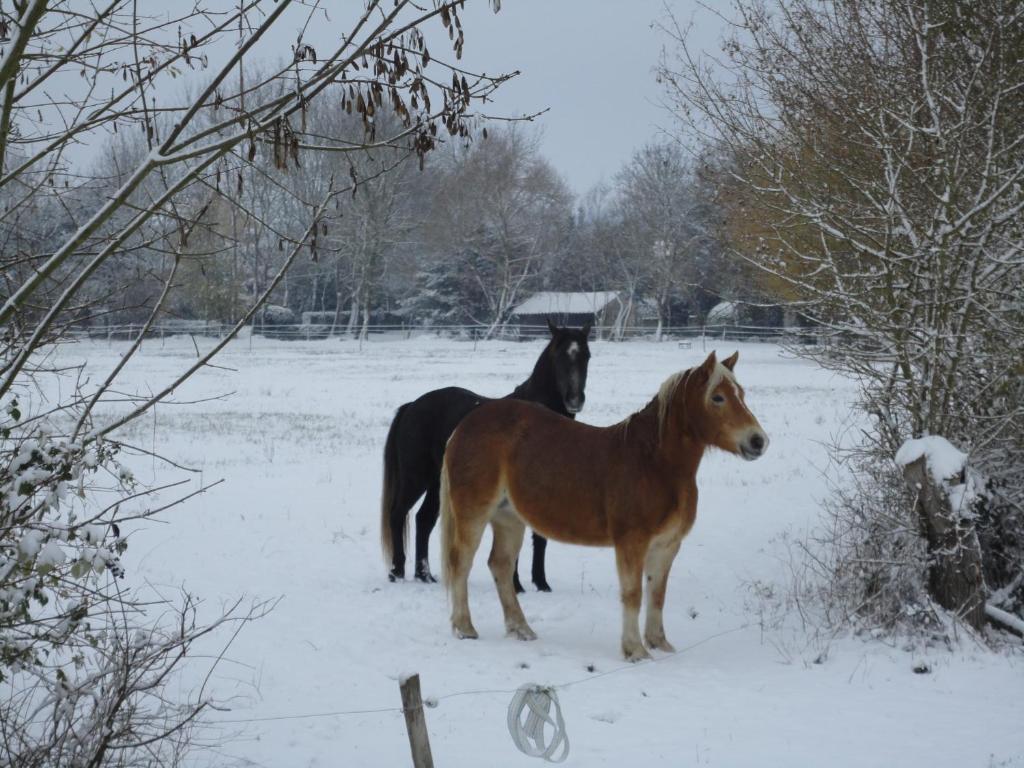 Les 2 Madeleine Bed & Breakfast Saint-Saturnin-du-Bois Екстериор снимка